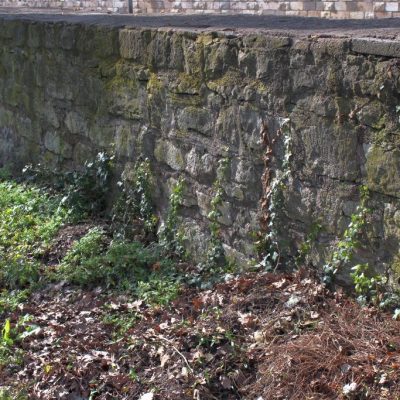 Friedhof II