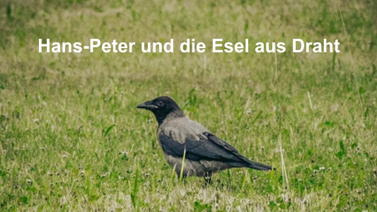 Hans-Peter und die Esel aus Draht